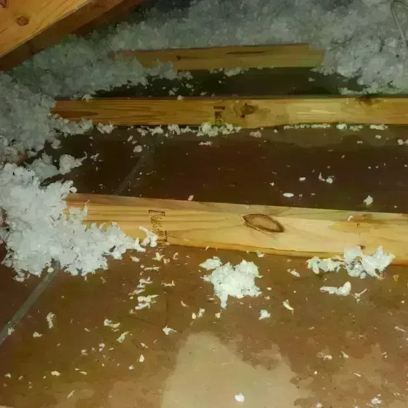 Attic Water Damage in Oglethorpe County, GA